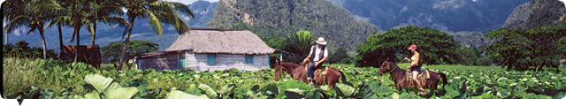 Viñales, Cuba Viñales, Cuba