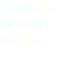 Panorama Memories Miramar