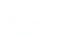  Combinaciones Hoteleras