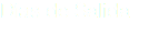 Días de Salida